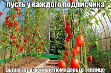 IMG_20250622_175342_137.jpg