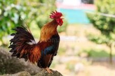 Без названия.jpg