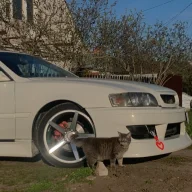 katzzzen