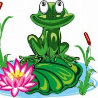 frog