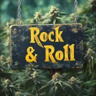 MuccucRockANDRoll