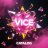 Vice_Catalog