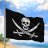 pirate_corporation